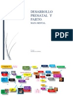 Mapa Mental Desarrollo Prenatal y Parto