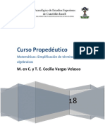 Simplificacion de Términos Algebraicos