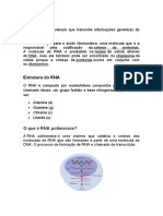 O que é RNA: estrutura, tipos e funções