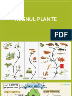 Regnul Plante