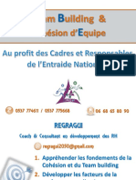 Support Cohesion Equipe