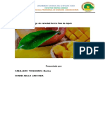 Mango PDF