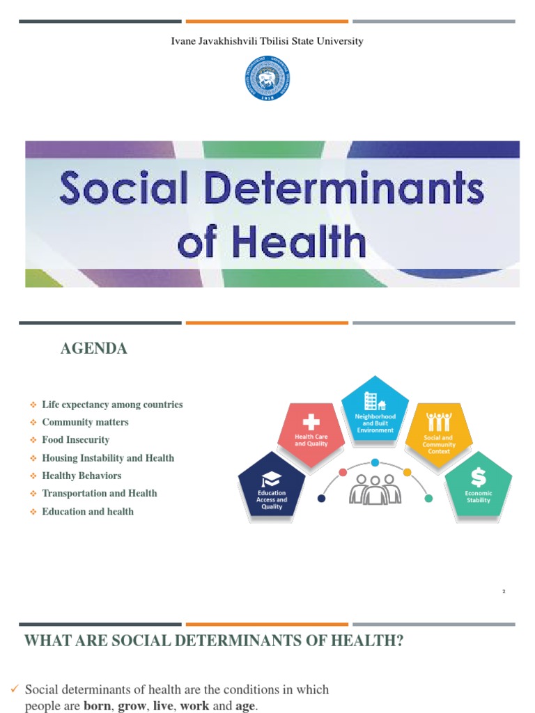Social Determinants of Health | Download Free PDF | Food Security ...