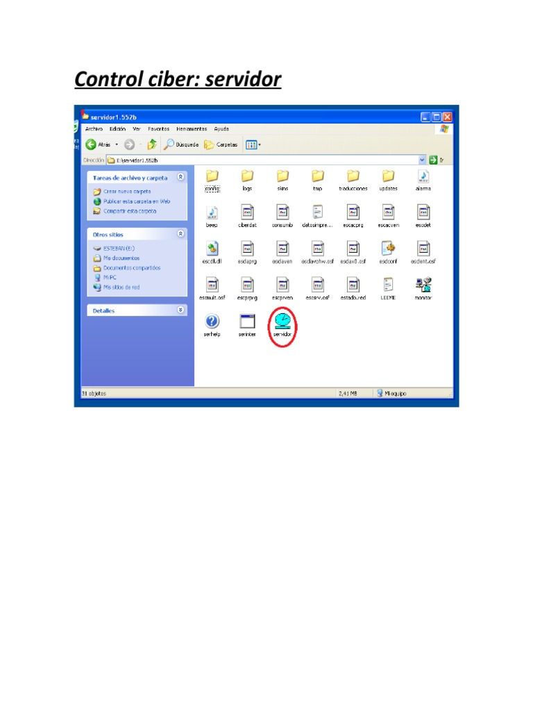 Control Ciber: Server & Client Guide | PDF