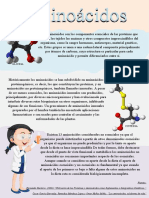 Infografia Los Aminoacidos