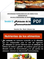 Nutrientes de Los Alimentos Macronutrientes