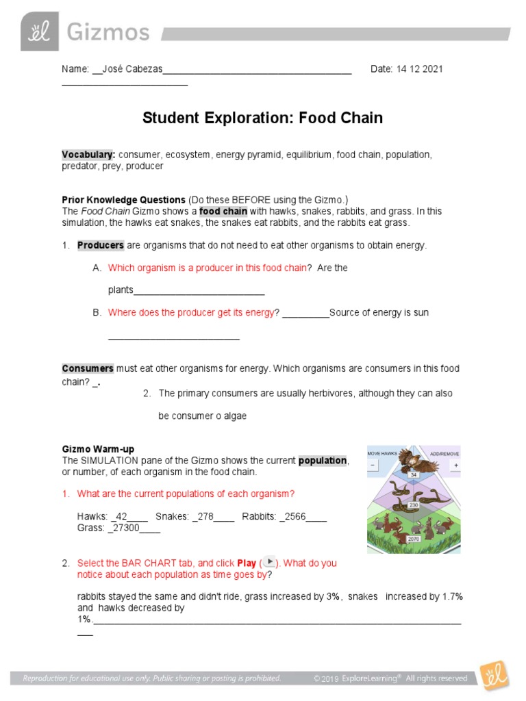 Student Exploration Food Chain Which Organism Is A Producer in This