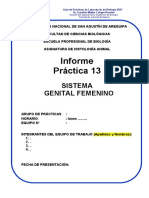 INFORME SESIÓN DE PRACTICA 13 (1)