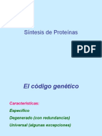 Sintesis de Proteinas