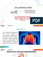 Sistema Respiratorio