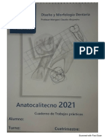 Anatocalitecno 2021-1
