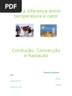 Temperatura e Calor