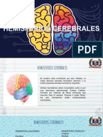 Iv Bim - Clase 1 - Hemisferios Cerebrales