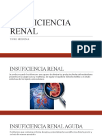 Insuficiencia renal: causas, síntomas y tratamiento