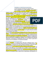 Masculinidad Hegemónica e Identidad Masculina