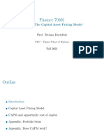 Finance 70391: Topic 9: The Capital Asset Pricing Model