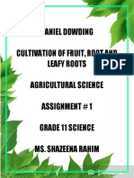 Agricultural Science Assignment On Fruit, Root and Leafy Crops