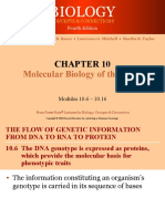 Molecular Biology of The Gene: Concepts & Connections