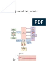 Manejo Renal de K