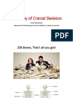 Anatomy of Cranial Skeleton