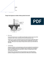 Fungsi Dan Kegunaan Struktur Dalam Pondasi Batu Kali