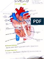 Bio Mita Organ Jantung