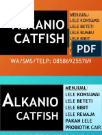 Alkanio Catfish