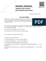 Ejemplo de Acta de Sorteo (Procesal Civil)