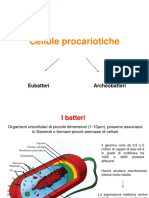 5 Batteri Virus