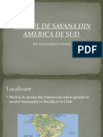 Mediul de Savana Din America de Sud