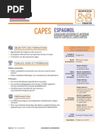 Fyon Municipio De Patillas, Puerto Rico Flag Banner