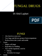 Antifungal - Anticancer 21