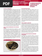 Fact sheet Il rischio di esposizione a Legionella spp