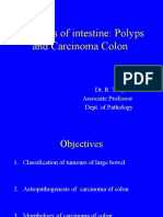 Tumours of Intestine: Polyps and Carcinoma Colon: Dr. R. Thapa Associate Professor Dept. of Pathology