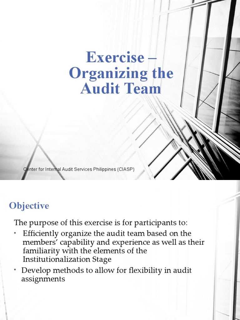 Organizing the Audit Team Exercise | PDF | Business | Self-Improvement