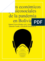 Efectos económicos y psicosociales de la pandemia en Bolivia