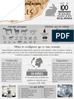 Experimentación Animal Infografía