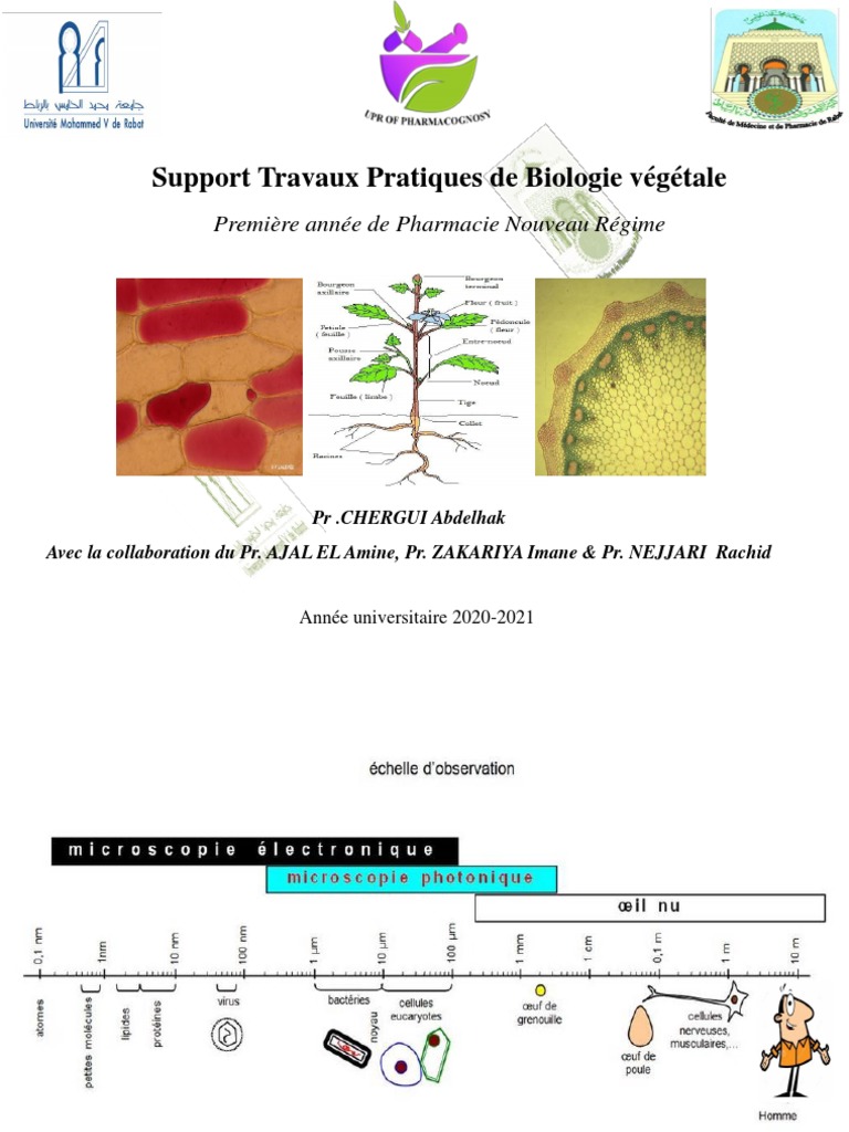 Tp biologie végétale