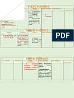 Plexo Pudendo - Quadro Resumo