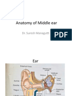 Anatomy of Middle Ear
