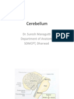 Cerebellum: Dr. Suresh Managutti Department of Anatomy SDMCPT, Dharwad