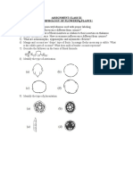 Morphology of Flowering Plants Assignment