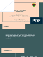 Acute Coronary Sindrome
