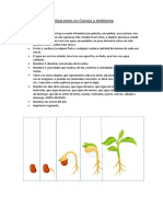 Materiales Que Utilizaremos en Ciencia y Ambiente PDF