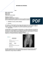 Informe de Epicrisis Toretto (3) (1)