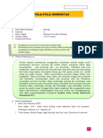 UKBM-BIO 3.6 - 4.6 - 6 - 6-31 Pola Hereditas