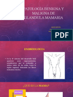 Patologia Benigna y Maligna de Glandula Mamaria