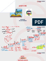 Aula 100 - Lei Nº 7.795-2016 (Plano Estadual de Educação - PEE) - III (Slide)