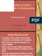 Gene Regulation in Eukarytic Organism
