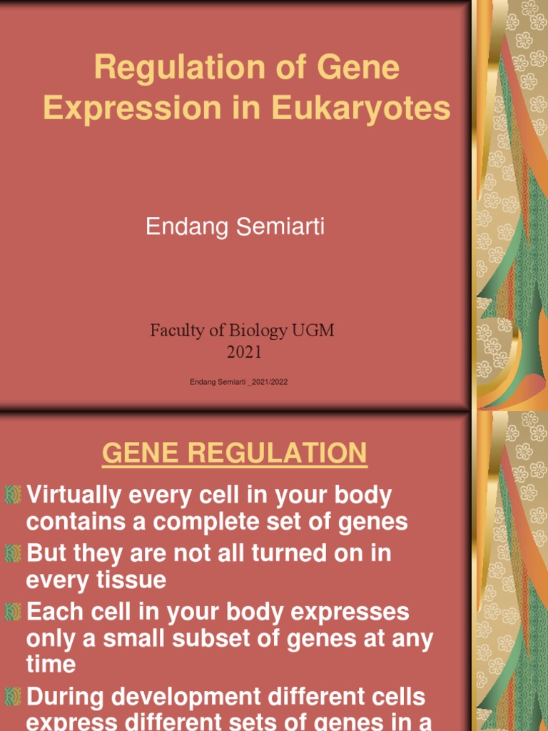 Gene Regulation in Eukarytic Organism PDF Gene Regulation Of Gene